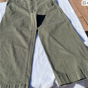 Gloria Vanderbilt Green Ankle Cropped Pants​  inseam 25”. Size 8.